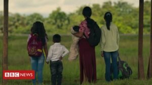 As crianças perdidas, do Netflix: como sobreviveram 4 irmãos indígenas resgatados na selva colombiana, segundo novo documentário - BBC News Brasil