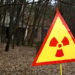 Sapos com superpoderes: entenda por que os anfíbios de Chernobyl não sofrem tanto com a radiação