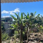 Justiça determina suspensão de demarcação em território por supostamente não ser quilombola no litoral norte da Bahia; entenda o caso