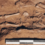 Criança que viveu há 17 mil anos pode ter sido o primeiro humano de olhos azuis