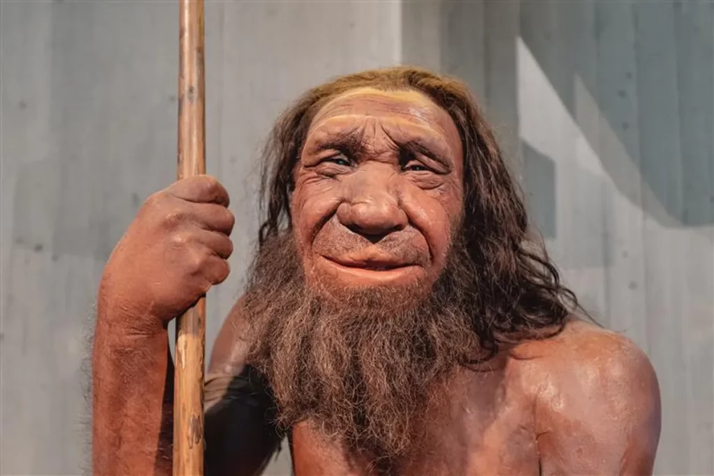 O estudo analisou se os neandertais podiam entender e falar como os humanos modernos(Crédito: frenic00/Shutterstock)