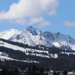 Degelo revela floresta ancestral escondida em montanhas nos EUA