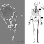 Sepultura de 1.200 anos revela ritual de sacrifício de mulher grávida no Equador