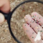 Quantidade de microplásticos no cérebro humano preocupa