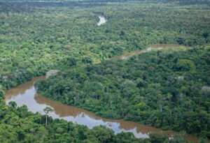 Revendedora da Starlink ganha contratos de R$ 561 mi na Amazônia apesar de internet federal