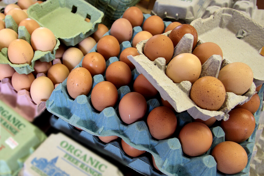 IPCA-15: ovos e gasolina têm as maiores altas em março