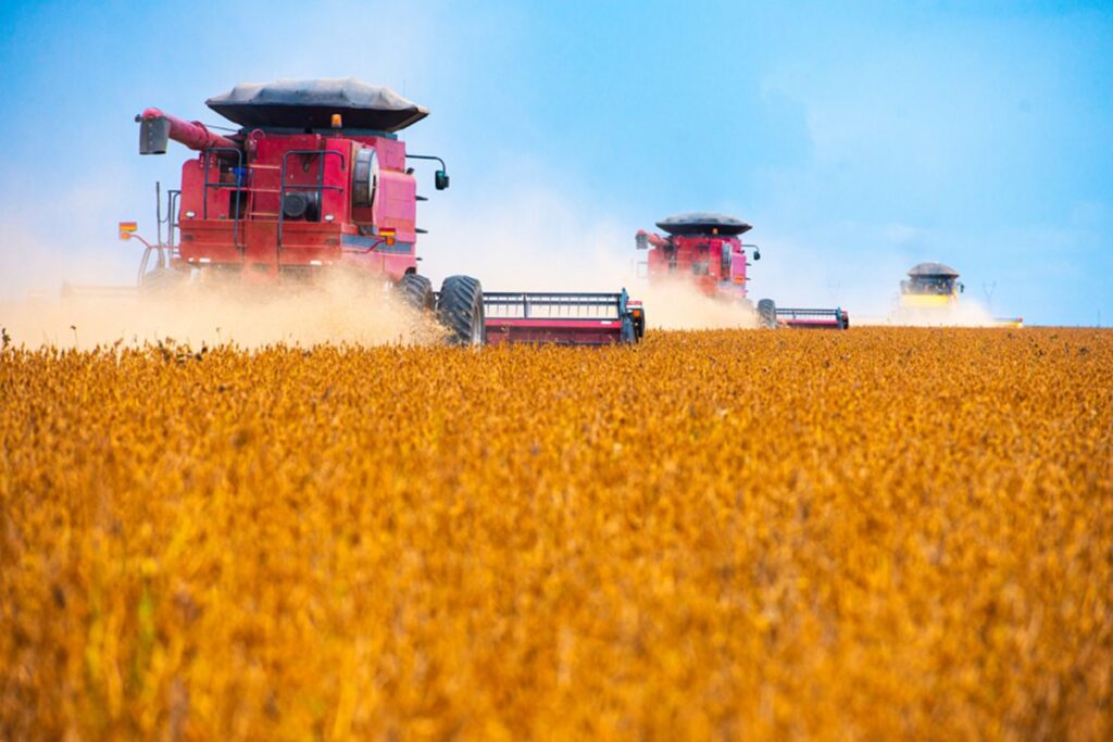 Novas tarifas de Trump: quais produtos brasileiros podem ser afetados