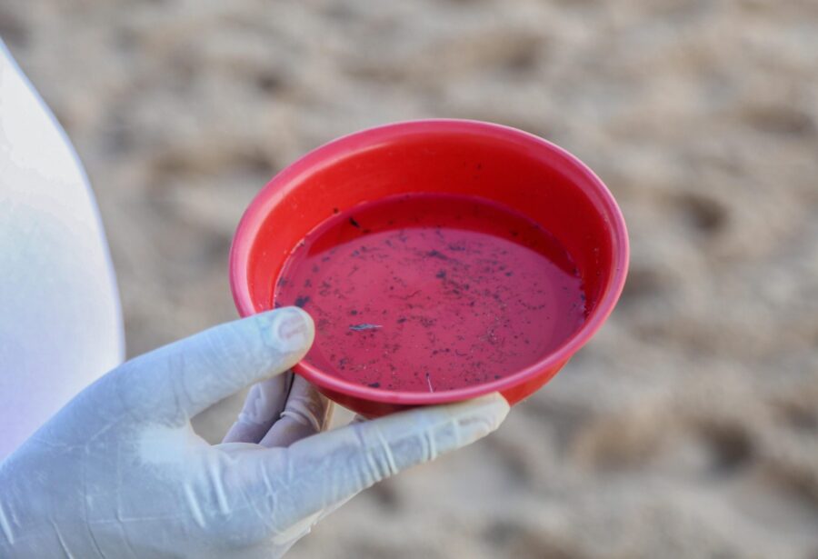 Brasil ultrapassa a marca de 500 mortos por dengue em 2025, diz Ministério da Saúde