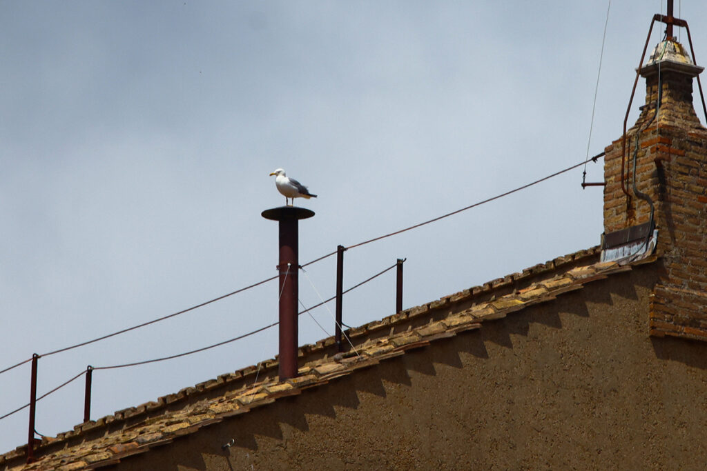 Conclave: cardeais se reúnem na Capela Sistina para definir novo papa