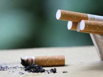 Quer parar de fumar? Nutricionista orienta como a dieta pode ajudar no processo