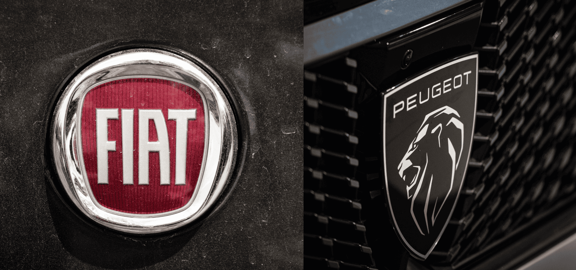 fiat-e-peugeot-1-1920x900.png