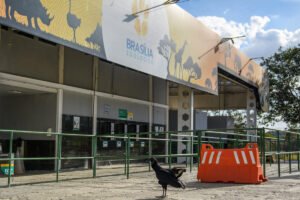 Zoológico de Brasília é fechado por suspeita de casos de gripe aviária