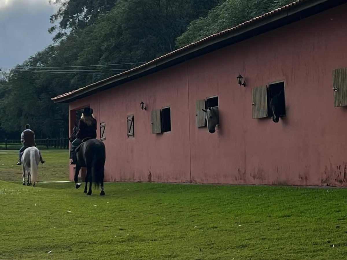 João Silva e Isabella Kherlakian - Foto: Reprodução/Instagram João Silva e Isabella Kherlakian - Foto: Reprodução/Instagram