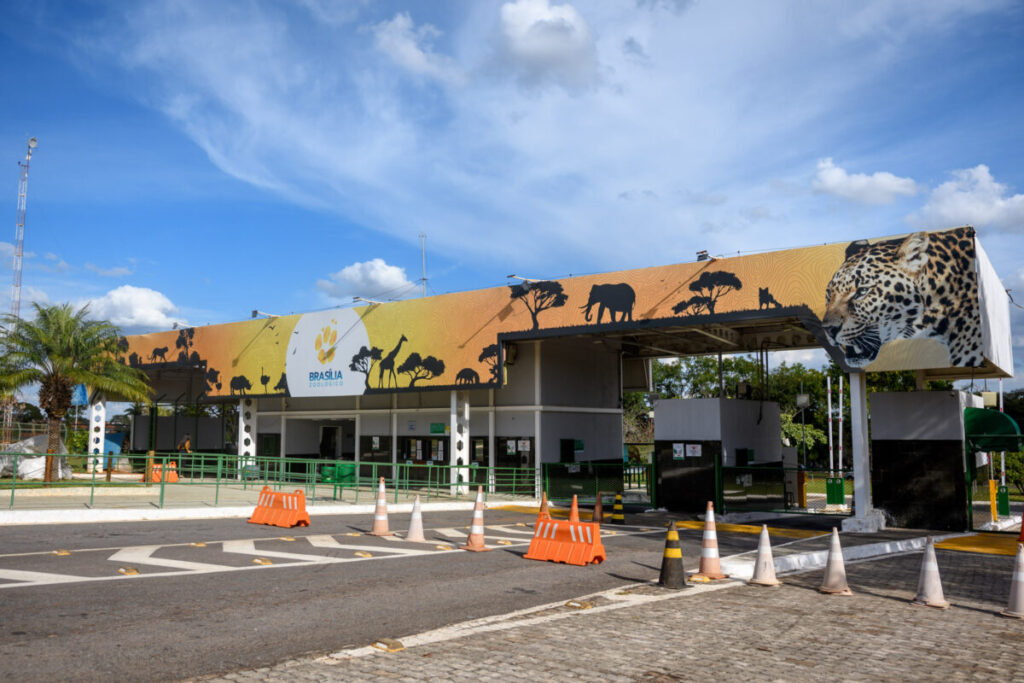 Exame confirma gripe aviária em irerê morto no Zoológico de Brasília