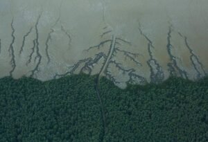 Ministério Público Federal pede suspensão do leilão da ANP de 47 blocos na Foz do Amazonas