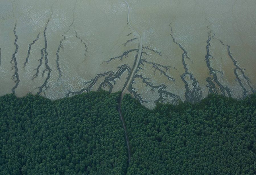 Ministério Público Federal pede suspensão do leilão da ANP de 47 blocos na Foz do Amazonas