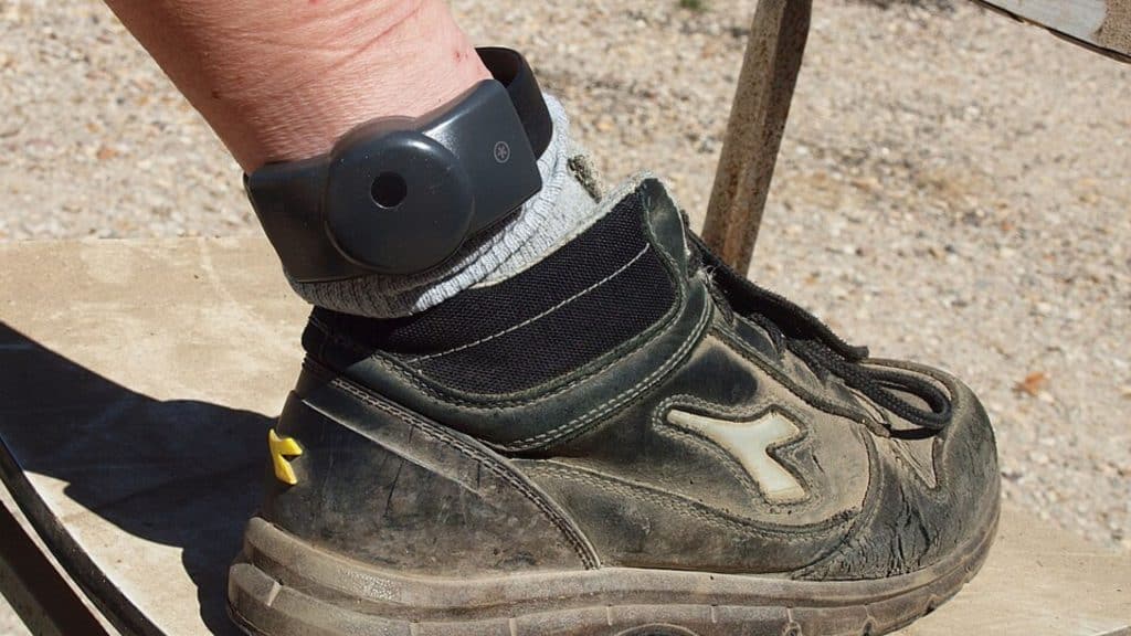 imagem mostra uma tornozeleira eletrônica preta