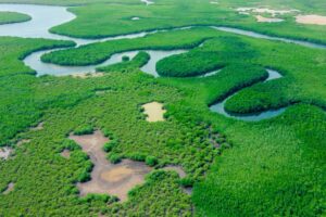 Nilo ou Amazonas? Veja qual o maior rio do mundo atualmente [2025]