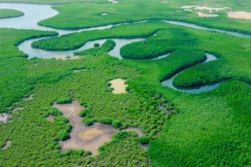 Nilo ou Amazonas? Veja qual o maior rio do mundo atualmente [2025]
