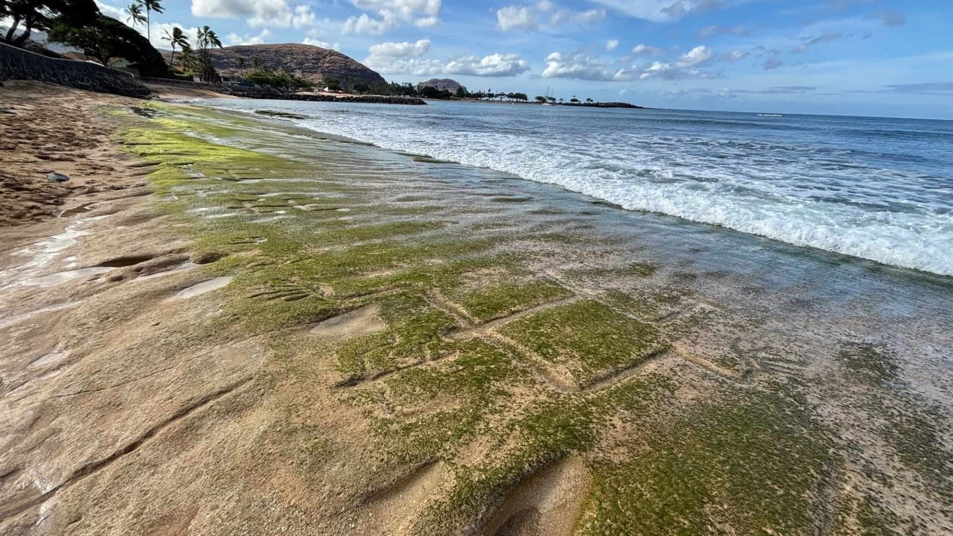 Obras ancestrais têm de 15cm a 2 metros e estão dispostas em um painel de 35 metros.