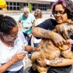 Prefeitura de SP realiza evento gratuito para vacinar e microchipar pets