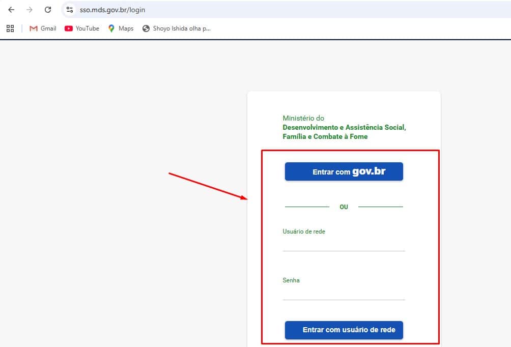 Auxílio Emergencial