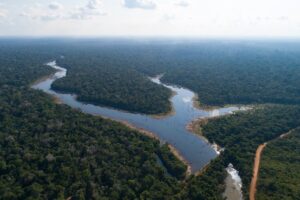 Governo Lula flexibiliza regras ambientais às vésperas da COP30