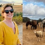 Com o fim de “Vale Tudo”, Debora Bloch curte merecidas férias em Portugal