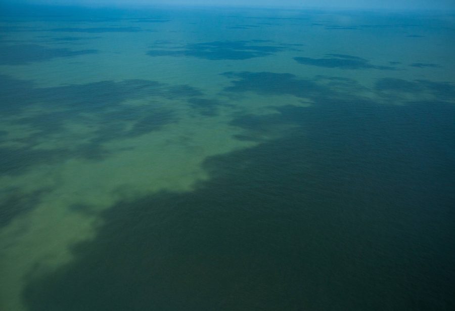 Maioria dos brasileiros quer que Lula proíba exploração de petróleo na Foz do Amazonas, diz Datafolha