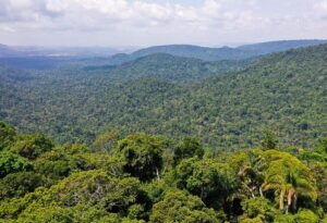 Verba do exterior para Amazônia é o triplo do que Congresso destina ao ambiente no Brasil inteiro