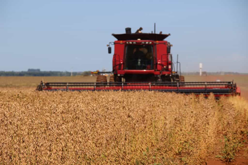 agricultura pantanal