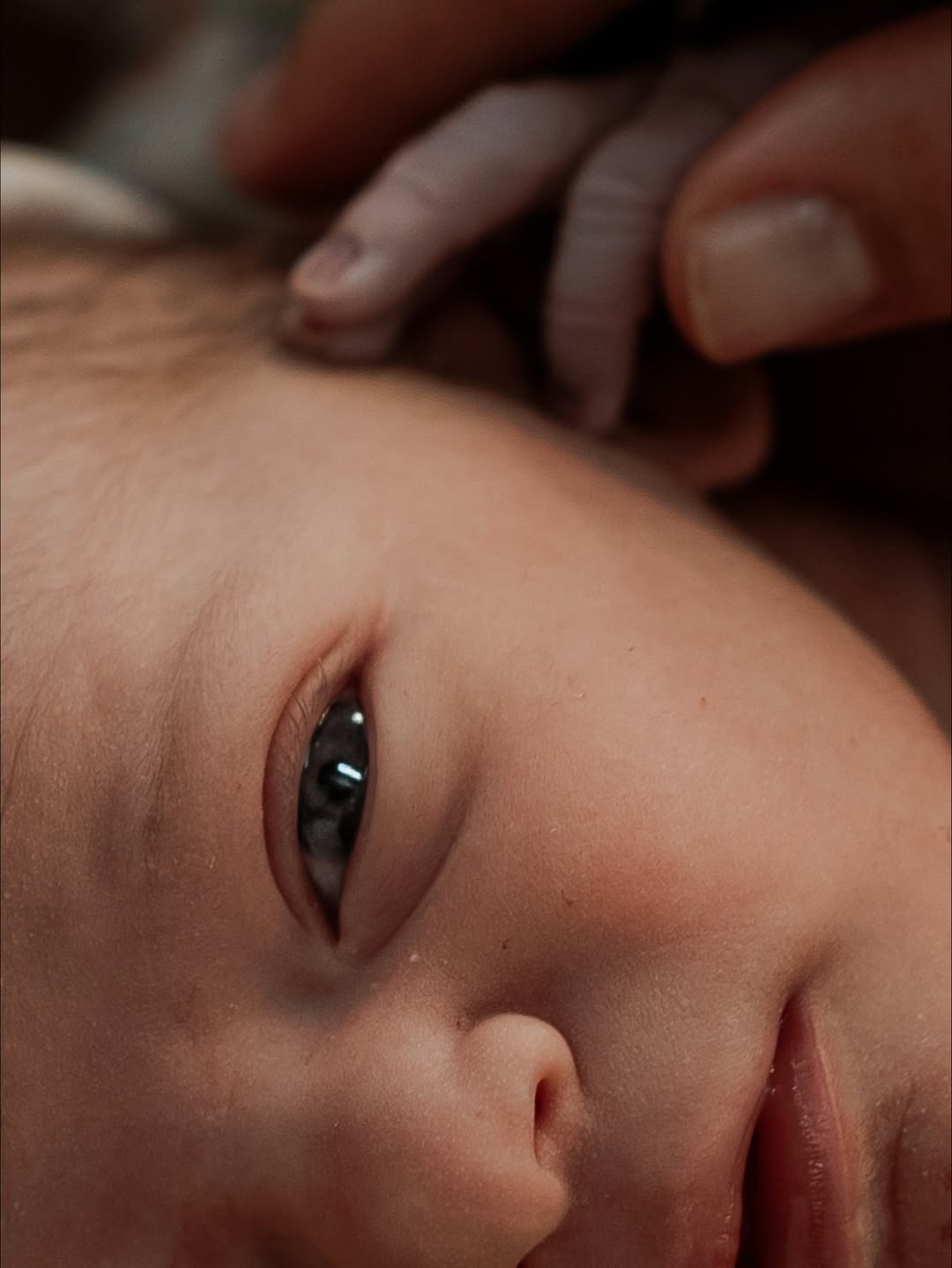 Crédito: Reprodução Instagram @jade_barbosa Crédito: Reprodução Instagram @jade_barbosa