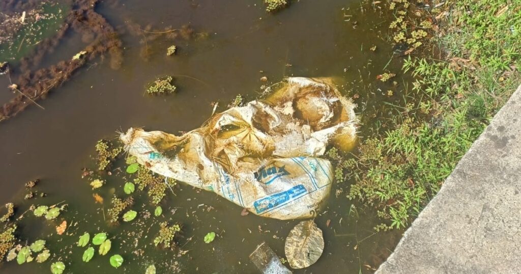 Cinco meses após denúncias, Lagoa Timeantube segue em deterioração e moradores relatam agravamento na Praia do Forte