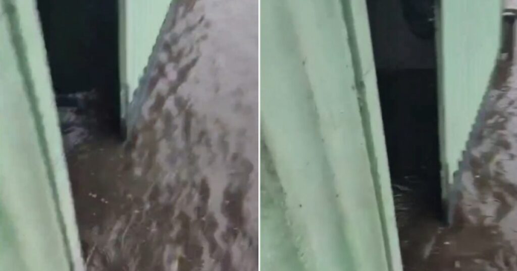 VÍDEO: Chuva forte faz moradora se desesperar com água invadindo casa em Gandu