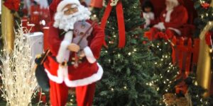 Hoje é Dia: Natal, ecologia e Cristina Buarque são destaques