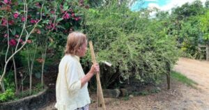 Idosa morre um mês após “abalo emocional” ao ter animais apreendidos pelo Ibama na zona rural de Ibirataia