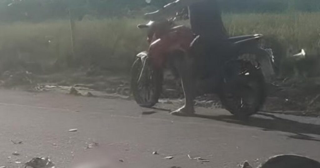 Mulher morre e criança fica ferida após colisão em Porto Seguro; motorista foi preso por homicídio culposo