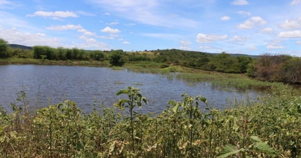 Incidência de chuvas começa a recuperar aguadas na zona rural de Brumado