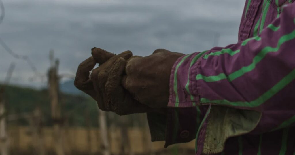 Justiça condena família a pagar R$ 1,45 milhão por manter trabalhadora doméstica em condições análogas à escravidão por 42 anos