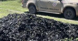 PM desmonta esquema ilegal de produção de carvão e destrói 24 fornos em Morpará