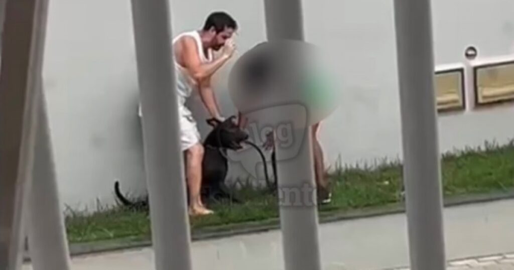 Mulher é agredida e ameaçada após briga entre cães durante passeio na Bahia