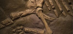 Qual é o fóssil de dinossauro mais antigo já descoberto?