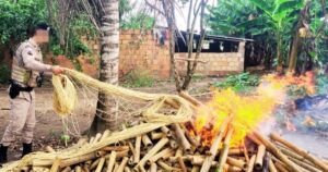 Homem é preso por fabricar explosivos ilegalmente no Recôncavo baiano