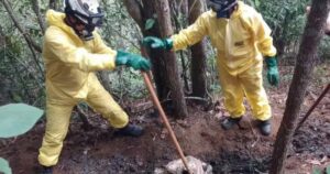 Ossadas humanas são encontradas em área de mata na Bahia; polícia investiga ligação com "tribunal do crime"