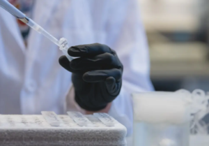 Proteína relacionada a Parkinson acelera Alzheimer em mulheres, aponta estudo