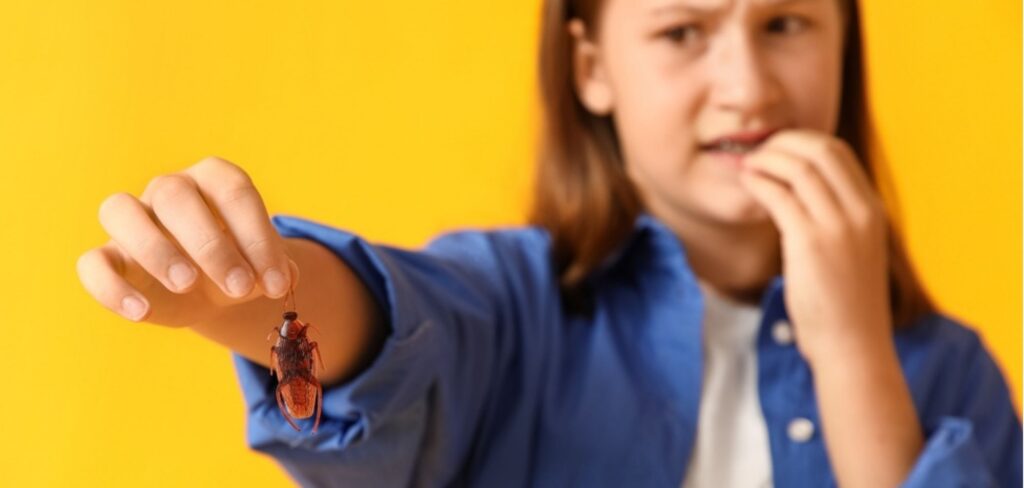 Volta por cima? As baratas podem ganhar uma função importante