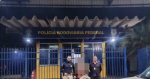 Adolescente viaja com carro dos pais para encontrar garota que conheceu no Roblox e é resgatado pela PRF após percorrer 500 km