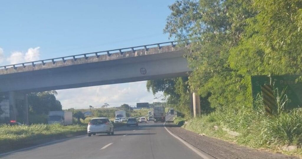 Aumento de mato é notado na BR-324 e Dnit diz que crescimento de vegetação está associado a chuvas