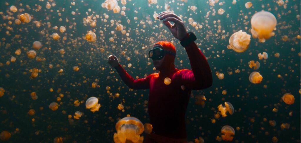 Conheça Raja Ampat, o santuário marinho mais biodiverso do planeta