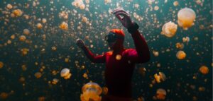 Conheça Raja Ampat, o santuário marinho mais biodiverso do planeta